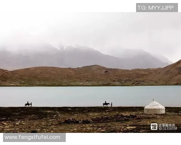 足球明星归乡接手家族遗产重振家业的传奇故事