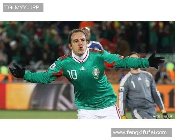 足球明星清道夫的传奇故事与球场背后的默默奉献