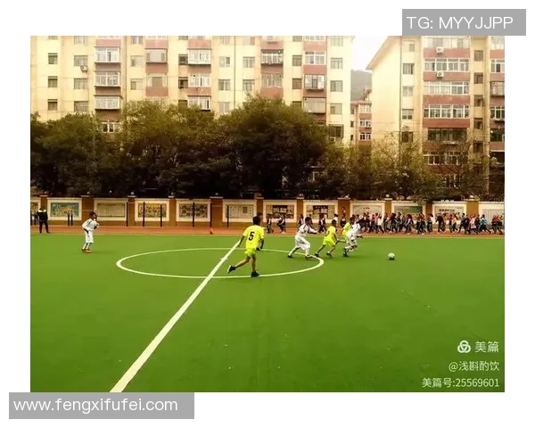 足球明星的魅力与影响力探索教案反思与启示