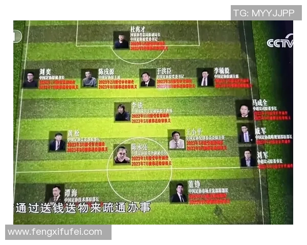 足球明星米尔克的职业生涯与成就全景解析